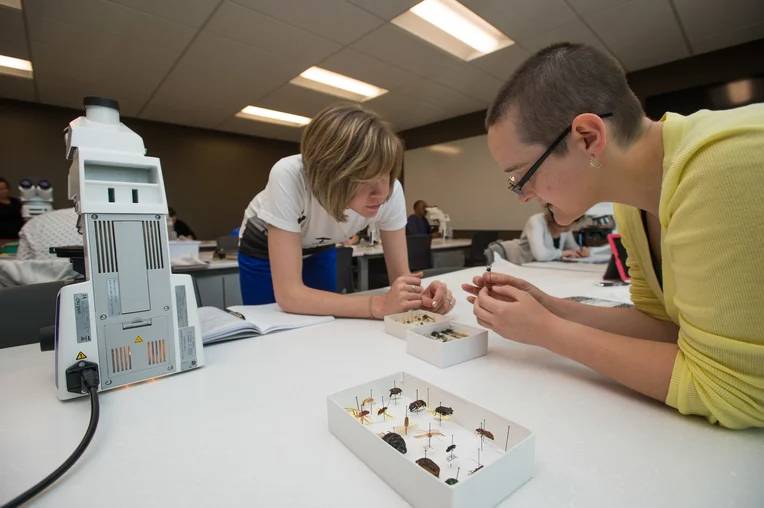 Students performing research