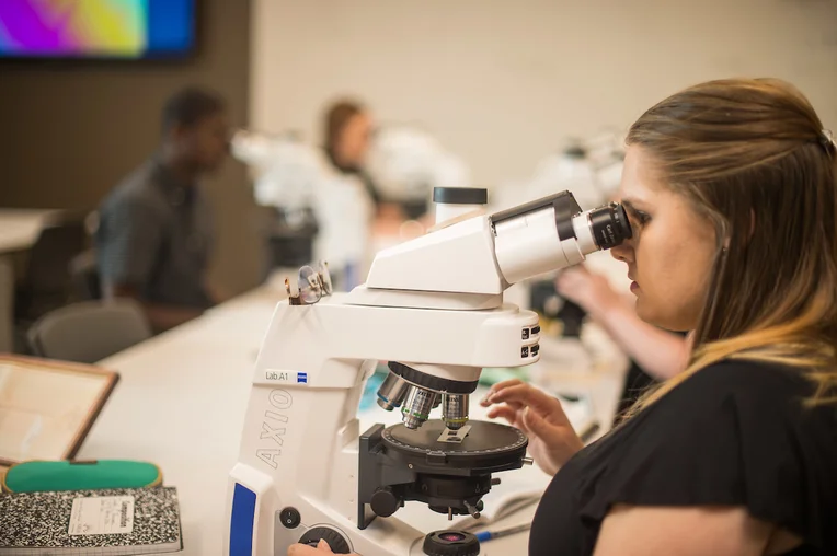 Student looking in microscope