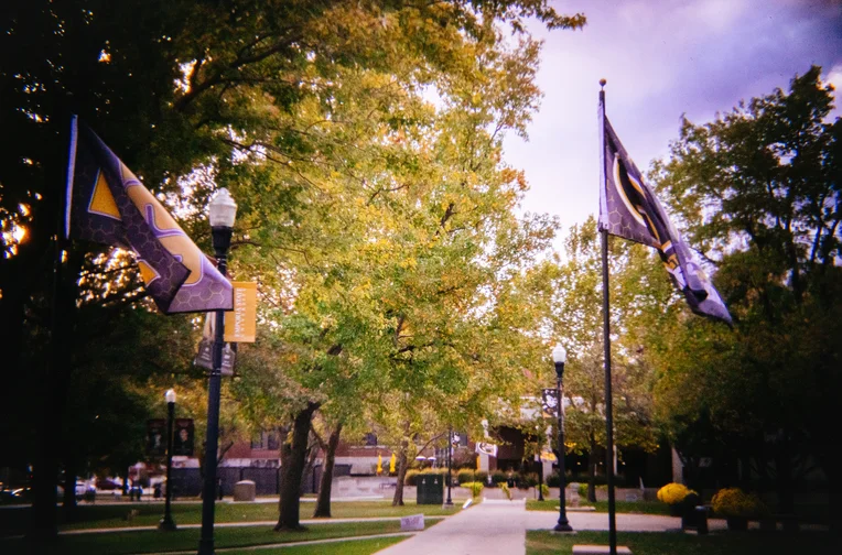 Kellogg Circle Flags