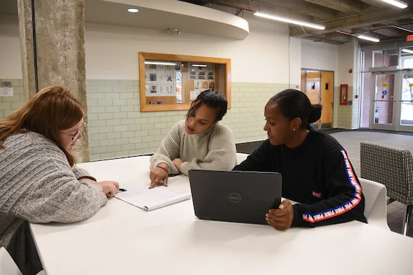 Students studying together