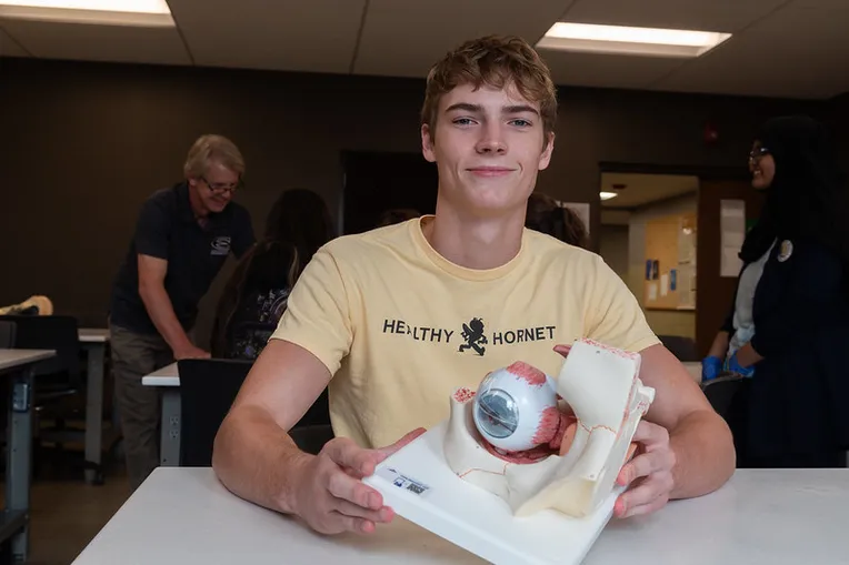 Student studying the Human body