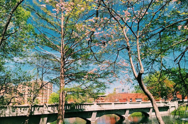 Wooster Lake Campus in springtime