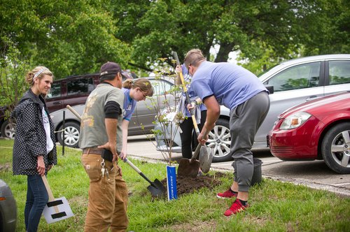 web-2017-Arbor-Day