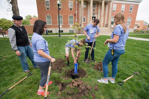 web arbor-day-planting